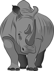 Fototapeta premium rhino on white background