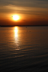 sunset on the water, lake, seagulls flying