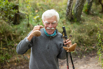 A close-up of a happy, smiley senior man collecting mushrooms in the forest while nordic walking.