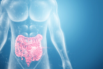 A holographic projection of a red irritable bowel scan with medical data. The concept of abdominal pain, bowel problems, constipation, modern medicine.3D illustration, 3D render. - obrazy, fototapety, plakaty