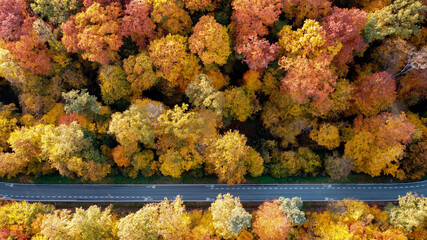 Aerial shot of a road through the autumn forest