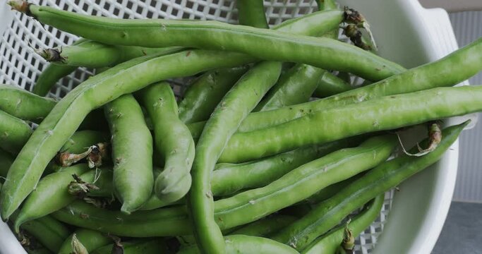 Close up of a basket of freshly picked broad beans