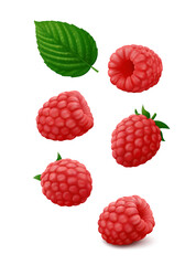 Set of single raspberry fruits from different sides with green leaf hang in the air. Isolated on white background. Realistic vector illustration.
