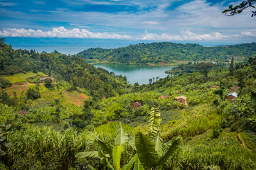 Fields by lake Kivu, Rwanda - obrazy, fototapety, plakaty