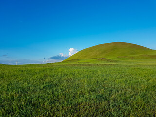 A panoramic view on a hilly landscape of Xilinhot in Inner Mongolia. Endless grassland with a few wildflowers between. Blue sky with thick, white clouds. Higher hills in the back. Mongolian grassland