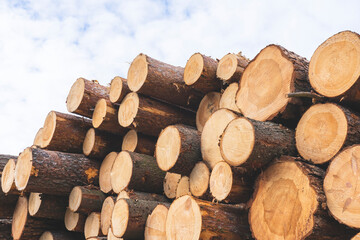 deforestation for roads, wood harvesting, wood as a renewable biological resource, deforestation area for highways