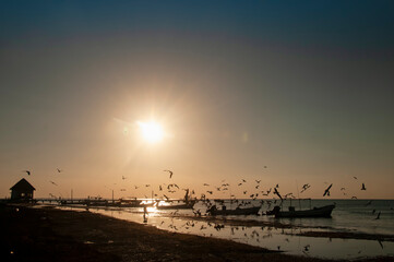 Silhouette of seagulls in flight at sunset on a beach on Holbox Island in Mexico. In the background the fishermen's pier and the sun on the horizon. - Powered by Adobe