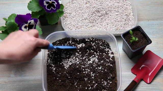 Mixing perlite granules pellets with black gardening soil improves water retention, airflow, aeration, root growth capacity of all the plants growing in pots. Perlite is an amorphous volcanic glass.