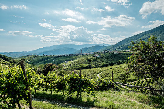 Vista su Valdobbiadene e le colline del Prosecco