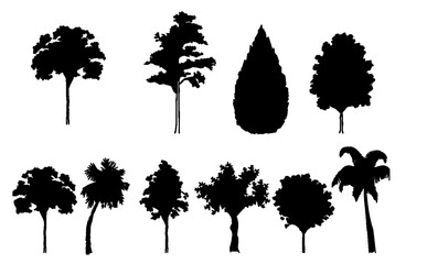 Different trees (black and white version)