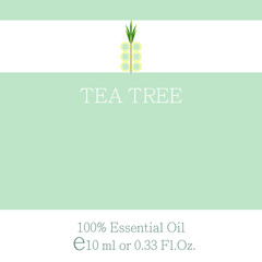Tea tree. Essential oil label design. Cosmetics packaging template. Vector image on the theme of aromatherapy.
