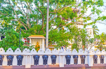 The Bodhi Tree of Bodhirajaramaya Temple in Negombo, Sri Lanka