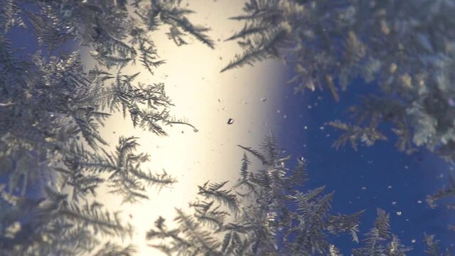 Window covered with fern frost. Macro, dolly left.