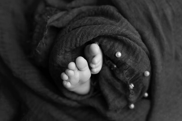 Fototapeta premium black and white photo of a newborn. baby feet. little baby feet