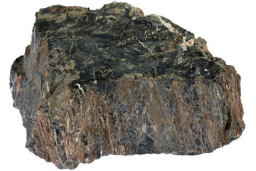 petrified wood from Kaiserslautern, Germany isolated on white background