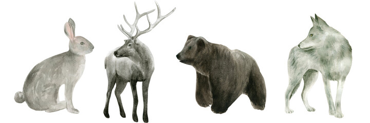 Watercolor wild animals set Isolated on white background. Rabbit, deer, bear, wolf