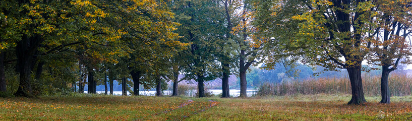 Fototapeta premium Autumn forest by the river, panorama. Colorful trees in the autumn forest