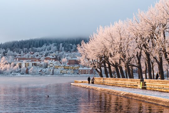 View of the frosted trees in the Badhusparken park and the Fr&ouml;s&ouml;n island