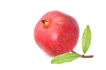 Ripe pomegranate with  leaves isolated on white