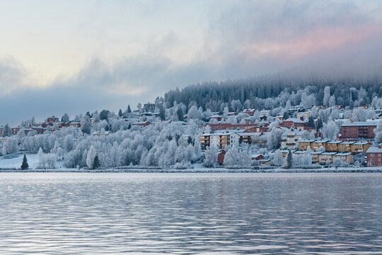 Winter view of the frosted trees on Fr&ouml;son Island
