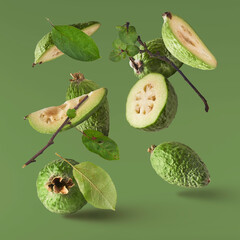 Fresh raw feijoa with green leaves falling in the air