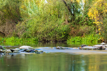 Rio Serpis surrounded by poplars and vegetation on a calm day.