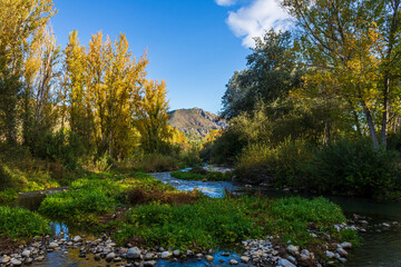 Rio Serpis surrounded by poplars and vegetation on a calm day.
