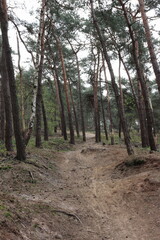 Wanderweg im schönen Münsterland