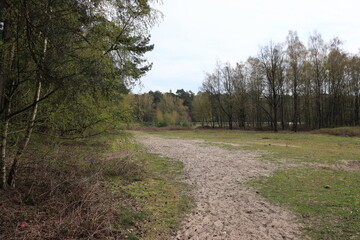 Obraz premium Wanderweg im schönen Münsterland