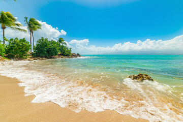 Golden shore in Bas du Fort