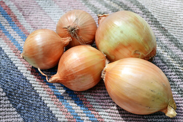 Yellow onions, botanically classified as Allium cepa. Close up of golden bulb.  It is a  good...