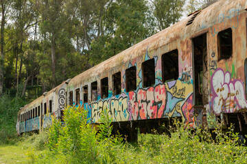 tren abandonado y pintado con grafitis 