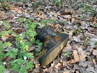 Old shabby shoe in the woods. Ecological waste. pollution of the forest. Ecology.
