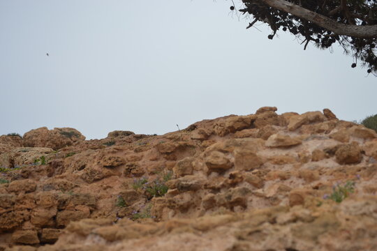 roman ruins at algeria tipaza