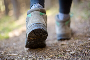 person walking through the forest in nature