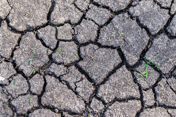 Obraz premium close-up photo of the dry earth, cracked earth