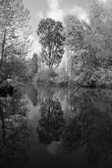 Parc with lake in black and White