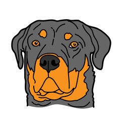 Rottweiler dog breed pet portrait.