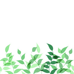 Elegant green floral seamless bordure with tree branches. Vector organic background.