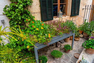 Wunderschönes individuelles Hochbeet, Blumenbeet, riesiger Blumenkasten mit Frühlingsblumen im...