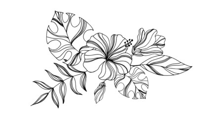 Linear drawing of tropical leaves of palm trees and hibiscus flowers. Vector illustration.