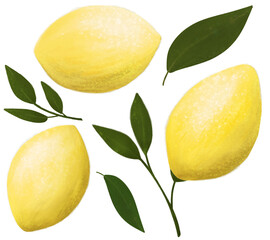 Lemon with leaves illustration. Yellow Citrus Vitamin fruits set