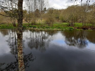 Fototapeta premium Amplitud del río de Os novos en Vilalba, Galicia