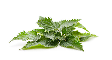 Green nettle with bloom.