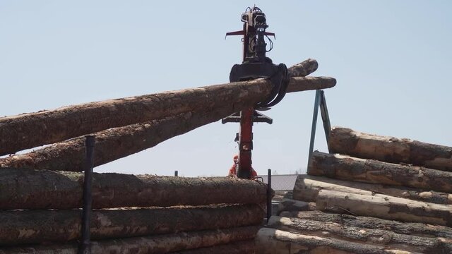 Grue attrapant des buches de bois tronc d'arbre