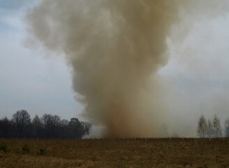 Fire. Conflagration. The fire that destroys forest, grass, and agricultural crops burns in the...