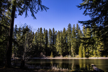 Lake in the woods