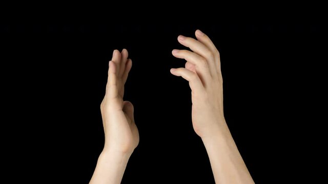 Hands Clapping Congratulatory With Alpha Channel