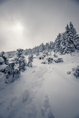 Wielki Kopieniec - Tatry Polskie.