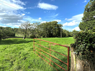 Open gate, to a farmers field, with trees in the distance and a blue sky in, Newbiggin, Leyburn, UK